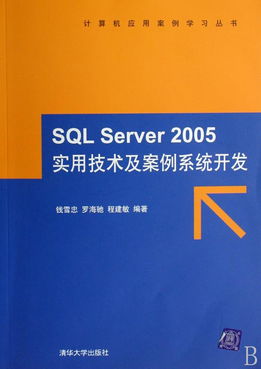 SQL Server 2005實(shí)用技術(shù)及案例系統(tǒng)開發(fā) 附光盤的計算機(jī)應(yīng)用案例學(xué)習(xí)指南